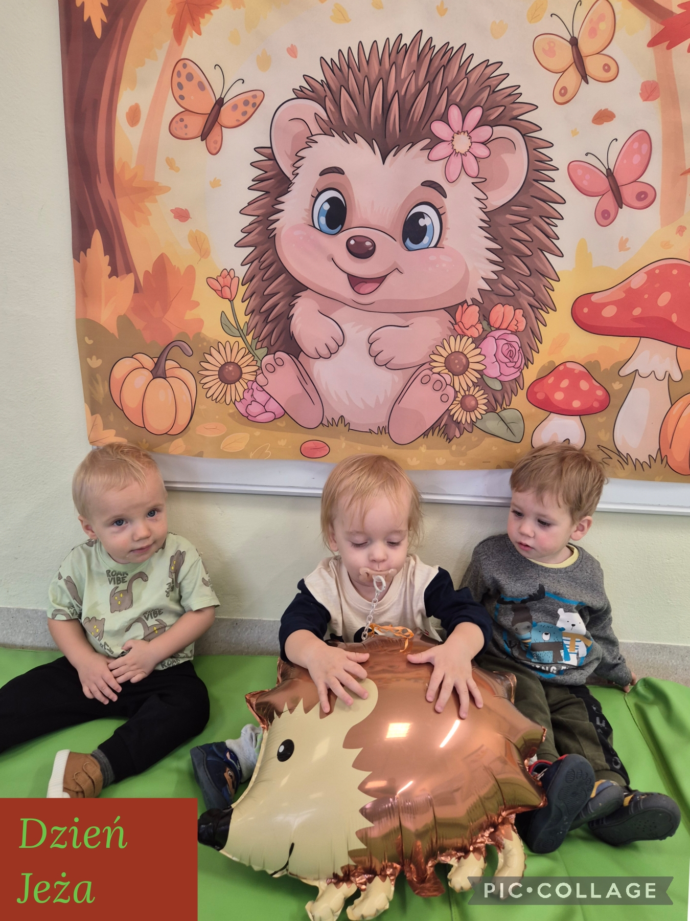 “Przyroda wokół nas”