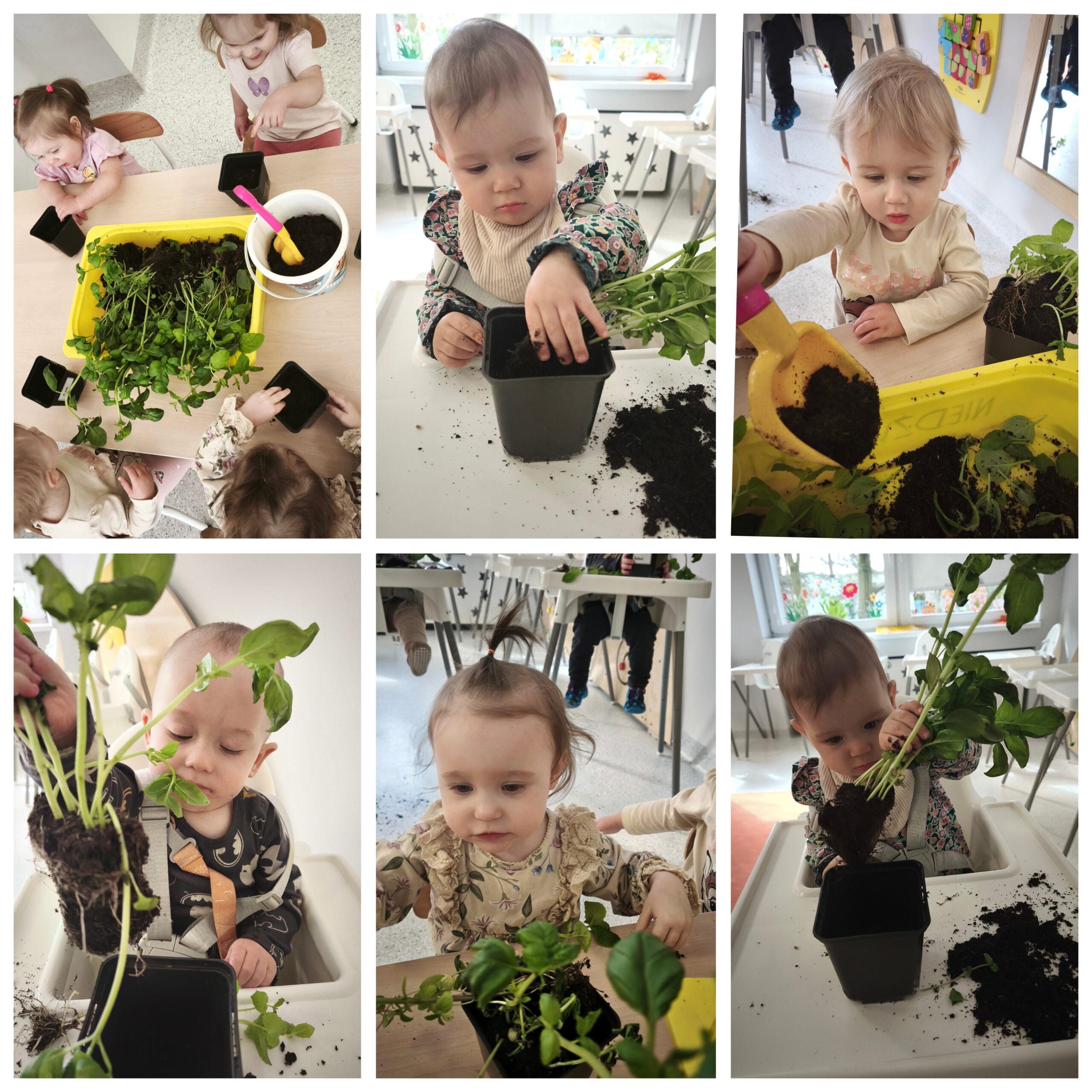 Żegnamy zimę, witamy wiosnę.